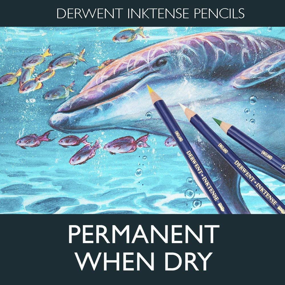 Derwent Inktense Pencils 12 Tin, Premium 4mm Round Core, Firm Texture Water-Soluble, Ideal for Watercolor Drawing, Coloring and Painting on Paper and Fabric with Derwent Graphic Drawing Pencils 12 Tin - Image 3