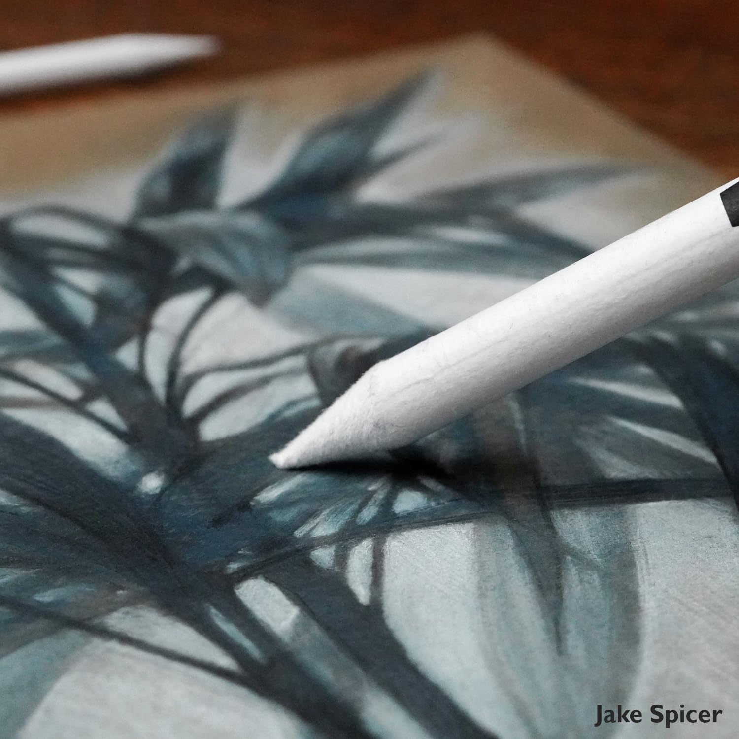 Paper Stump Blister - Image 4